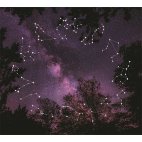 TAP -- Wall Covering Fabric (Option: TAP083-150x170cm)