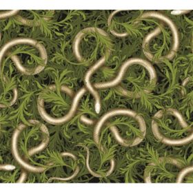 TAP -- Wall Covering Fabric (Option: TAP077-150x170cm)