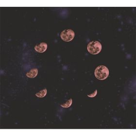 TAP -- Wall Covering Fabric (Option: TAP098-150x170cm)