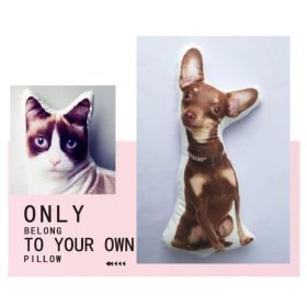 Customize Irregular Pillow Pet Pillow (Option: 70x70-One side)